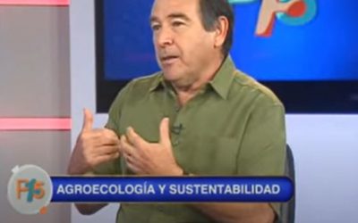 Cómo combatir el cambio climático con Agroecología – Entrevista a Miguel Altieri en CNN