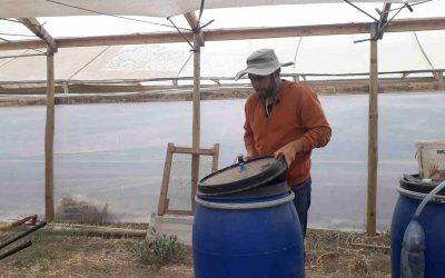 Respuestas varias del taller del biodigestor para la elaboración de biofertilizantes