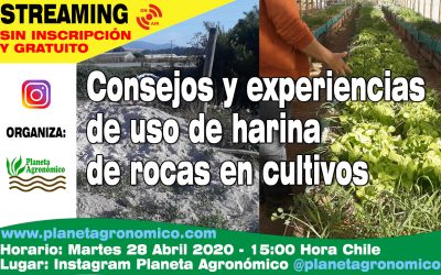 Consejos y experiencias de uso de harina de rocas en cultivos