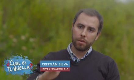 Entrevista de la televisión a Cristián Silva en Cuál es tu huella de TVN