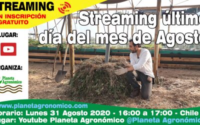 Streaming del último día de Agosto