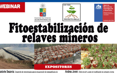 Fitoestabilización de relaves mineros – Streaming