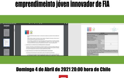 Tips y consejos de postulación a proyectos de emprendimiento Joven Innovador de FIA