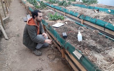 El enemigo silencioso de la Agroecología